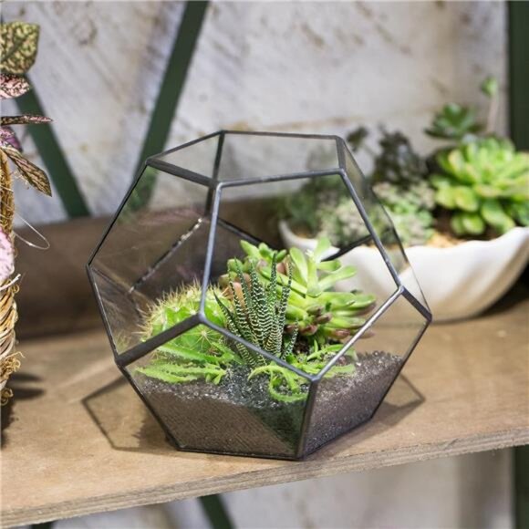 NCYP Small Plants Terrarium Planter - 5.9 Inches Pentagon Geometric Glass - Picture 2 of 7